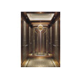 Attractive Luxury Building Passenger Lift Price